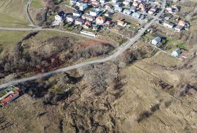 Teren agricol extravilan de 68403 mp, în Popești - 11