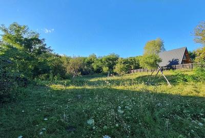 Teren de 2000 mp, în Prosia