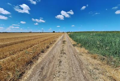 Teren Construcții intravilan de 5000 mp, în Lazu - 5