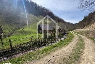 Teren de 12167 mp, în Câineni