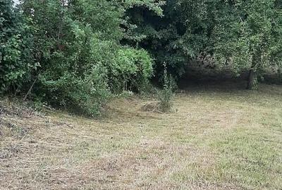 Teren de 2298 mp, în Păușești - 3