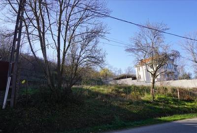 Teren de vanzare in Leamna de Jos - 9