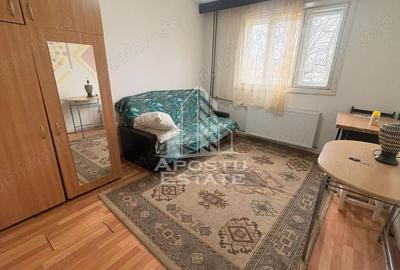 Apartament cu 1 camera, zona Buziasului - 4