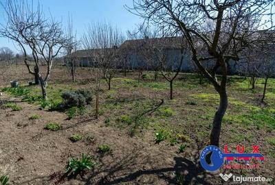 Casă cu 3 camere cu Teren 1461 Mp în Ceamurlia de Jos - 1