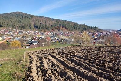 Teren cu suprafata de 3360 mp in Gura Humorului-Toaca-Boureni - 11