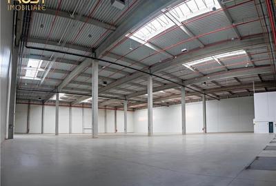 Spatii industriale si birouri  I Zona Aeroport - 12
