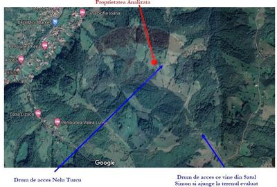 Teren extravilan, 25066 mp, Moieciu - 13