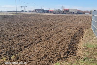 Vand teren intravilan supraf 638 mp com Branesti Vadu Anei pretabil construcție - 2