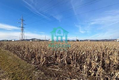 Teren de 22679 mp, în Hărman - 9