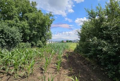 Casă individuală cu 6 camere cu Canalizare în Lisaura - 40