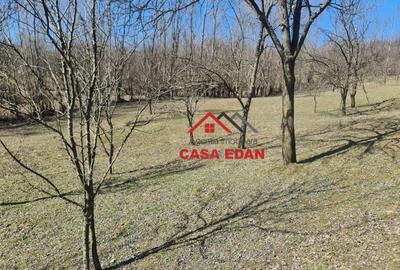 Teren de 9104 mp, în Brebu - 3