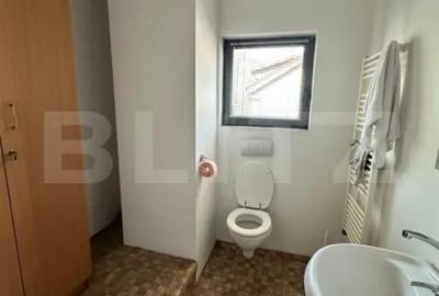 Spațiu comercial, de 120 mp, în Elisabetin - 2