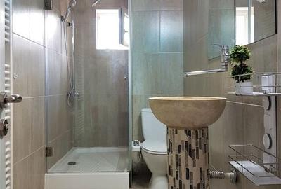 Delfinariu – apartament 2 camere in vila, centrala pe gaz! - 6