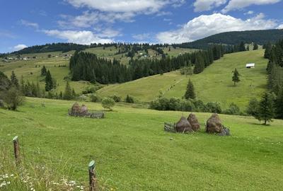 Spațiu comercial, în Glodu - 4