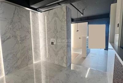 Tatarasi - Doi Baieti, spatiu 480mp de inchiriat, ideal showroom - 6