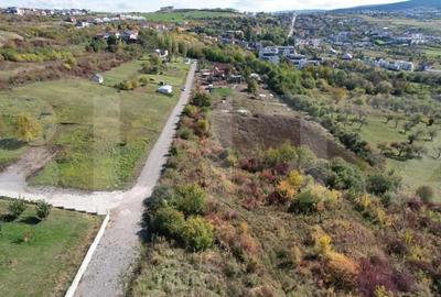 Teren de 6896 mp, în Borhanci - 8