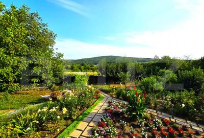 Casă cu 5 camere cu Teren 1000 Mp în Bucium - 13