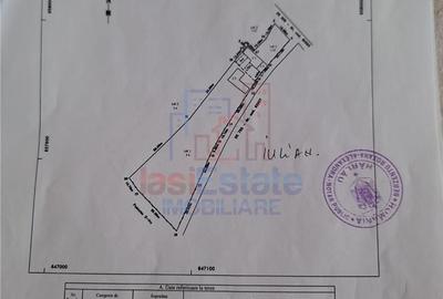 Casă cu 4 camere cu Teren 4239 Mp în Scobinți - 3