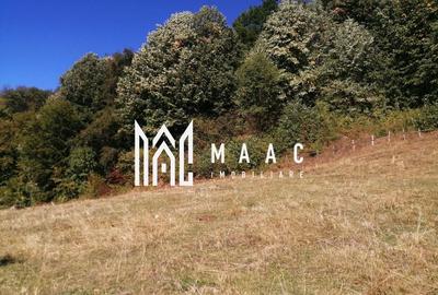 Teren Extravilan 20.000Mp I Stoenești -Vâlcea I Apă Curentă și Pădure - 14