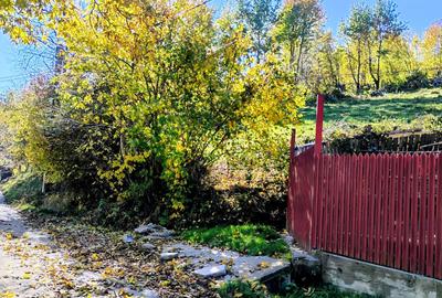 🌲 Teren 3600 mp langa Piatra Neamț, la asfalt 🌲 Teren 3600 mp langa Piatra Neamț, la asfalt - 1