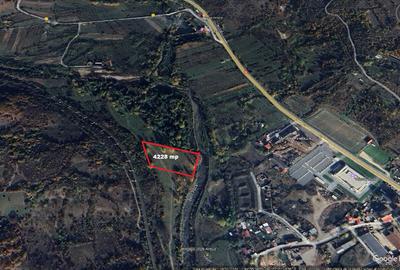 Vând teren 4 euro mp MEHADIA la 8km de BĂILE HERCULANE - 8