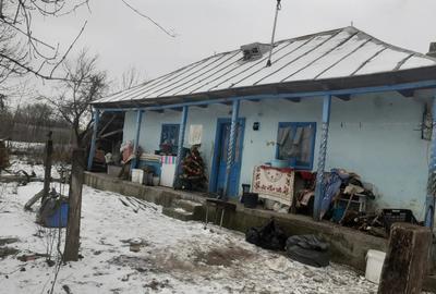 Vand casa batraneasca - 4