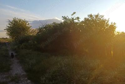 Casă în Smârdan - 5