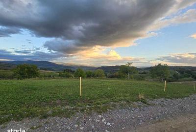 Teren de 5200 mp, în Roșia - 5