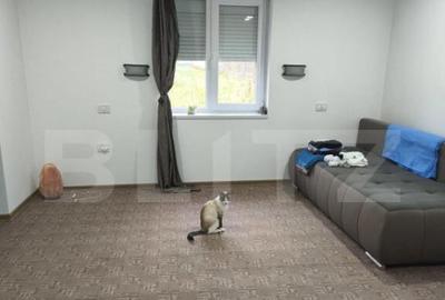 Casa 3 camere, 130mp, zona Vascauti - Siret - 7