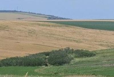 Teren Extravilan Aroneanu, ID: R2577828 - 5