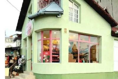 Spatiu comercial, 110 mp, zona Ultracentrala - 1