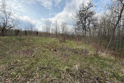 Casă cu 4 camere în Pietrișu - 2