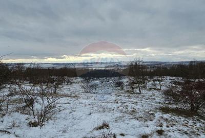 Teren de 10000 mp, în Rădășeni - 7