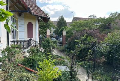 Conac Unicat Timis - 17