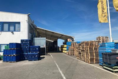 Spațiu comercial, de 6,500 mp, în Nădab - 4