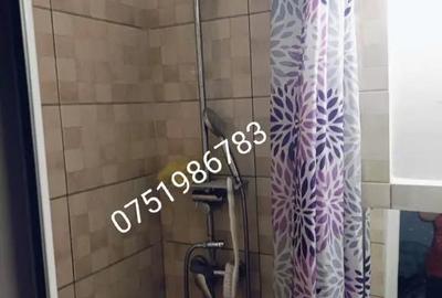 Apartament cu 2 camere nedecomandat în Central - 2