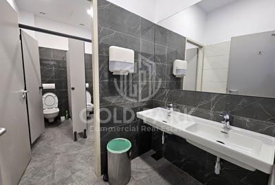 Spatiu de Birouri-Clasa A-Zona Centrala-Suprafete intre 110-700 mp Spatiu de Birouri-Clasa A-Zona Centrala-Suprafete intre 110-700 mp - 6