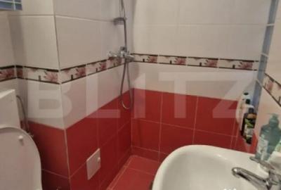 Casă cu 3 camere cu Teren 109 Mp în Craiter - 11