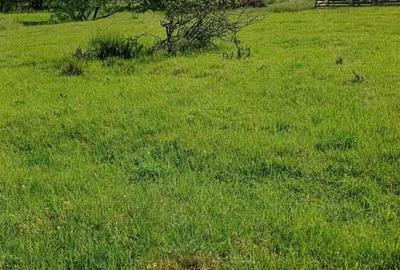 Teren de 400 mp, în Central - 2