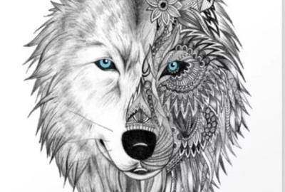 Apartament 2 camere Brasov - 1