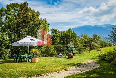 Vilă in Bran cu teren de 28.000 mp și priveliște spectaculoasa - 25