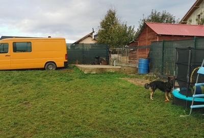 Vând teren Sânpetru Brașov cu utilități - 9