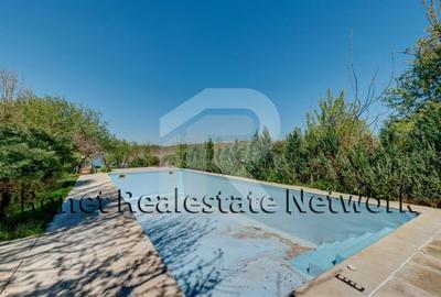 O Poveste de Vis pe Malul Lacului Snagov - 36