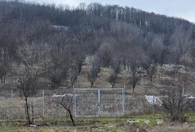 Casă cu 2 camere cu Canalizare în Mitrofani - 5