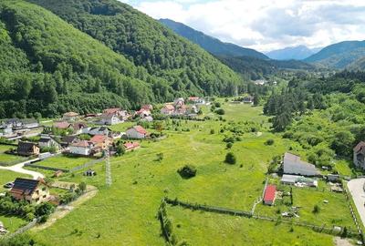 Teren Intravilan Rezidential - 12