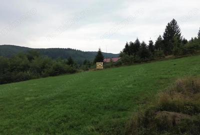 Teren 5023 mp In Bucovina Zona Manastirea Voronet De Vanzare 0727817187 - 6