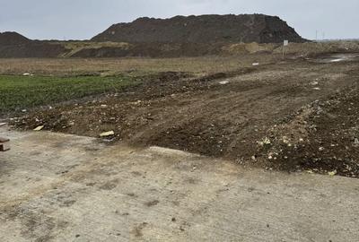 Teren Construcții intravilan de 10000 mp, în Șagului - 3