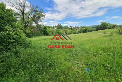 Teren intravilan de 4355 mp, în Câmpina - 6