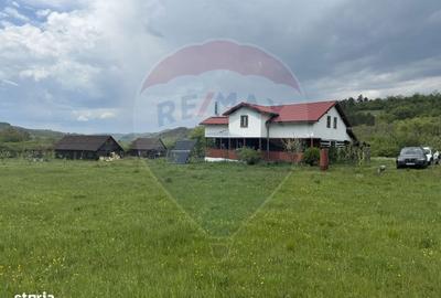 Casă cu 4 camere în Topa Mică - 8