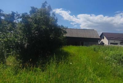 Teren de 10000 mp, în Măneuți